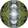 Natur Mandala Neuseeland