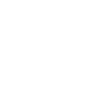 Le Dood Doodle Labradoodle Goldendoodle
