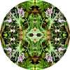 Natur Mandala Neuseeland