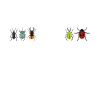Insecte