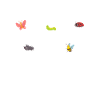 Insect
