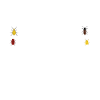 Insecte