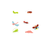 Insecte