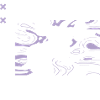 Gymnase d'entraînement Growin Chesticles