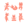 Yoga Pig