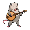 Opossum playing banjo Funny possum