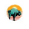 Buffalo Bison Ox Indian American