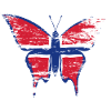 Norway flag butterfly blue
