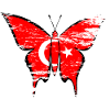 Turkey flag butterfly used