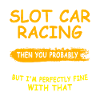 Slot Car Slotracing Slotcar