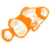Clownfisch T-Shirt