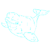 Beluga Choice