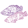 Grouper T-Shirt