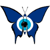 Nazar butterfly
