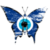 Papillon Nazar utilisé