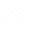 Stabhochsprung Stabhochspringer