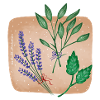 Herbe