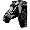 Horse Animal Motif