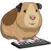 Hamster Musician Keyboard Music