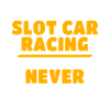 Slot Car Slotracing