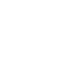 Run like you Stole it