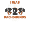 Dachshund Dog