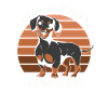 Chien teckel