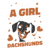 Chien teckel