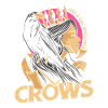 Raven Crow Crow Bird Animal