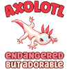 Axolotl endangered but adorable