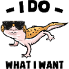 Gecko