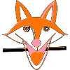 The wink of the fox