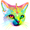 Cat alien
