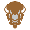 Indian Buffalo Bison colouring