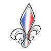 Fleur de Lys French flag