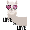 Alpaca Summer Love Design