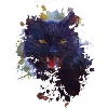 Katze