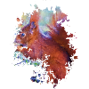 Eichhörnchen