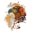 Vogel