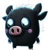 pig b
