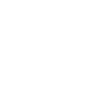 Designer Graphic Profession Artist