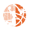 Basketball féminin Basketball féminin