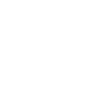 Violin Violinist Violinist