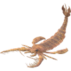 Jaekelopterus