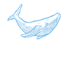 Whale Watchers
