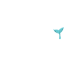 Whale Watchers