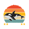 Whale Whale Watching Orca