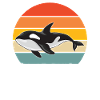 Whale Whale Watching Orca