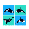 Whale Whale Watching Orca