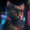 Cat Katze